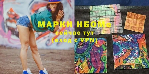 индика Богданович