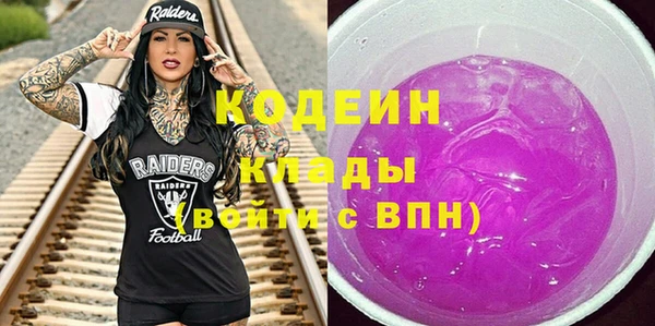 индика Богданович