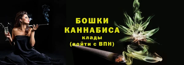 PSILOCYBIN Богородицк