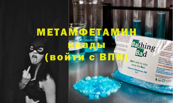 индика Богданович