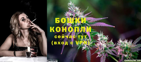PSILOCYBIN Богородицк